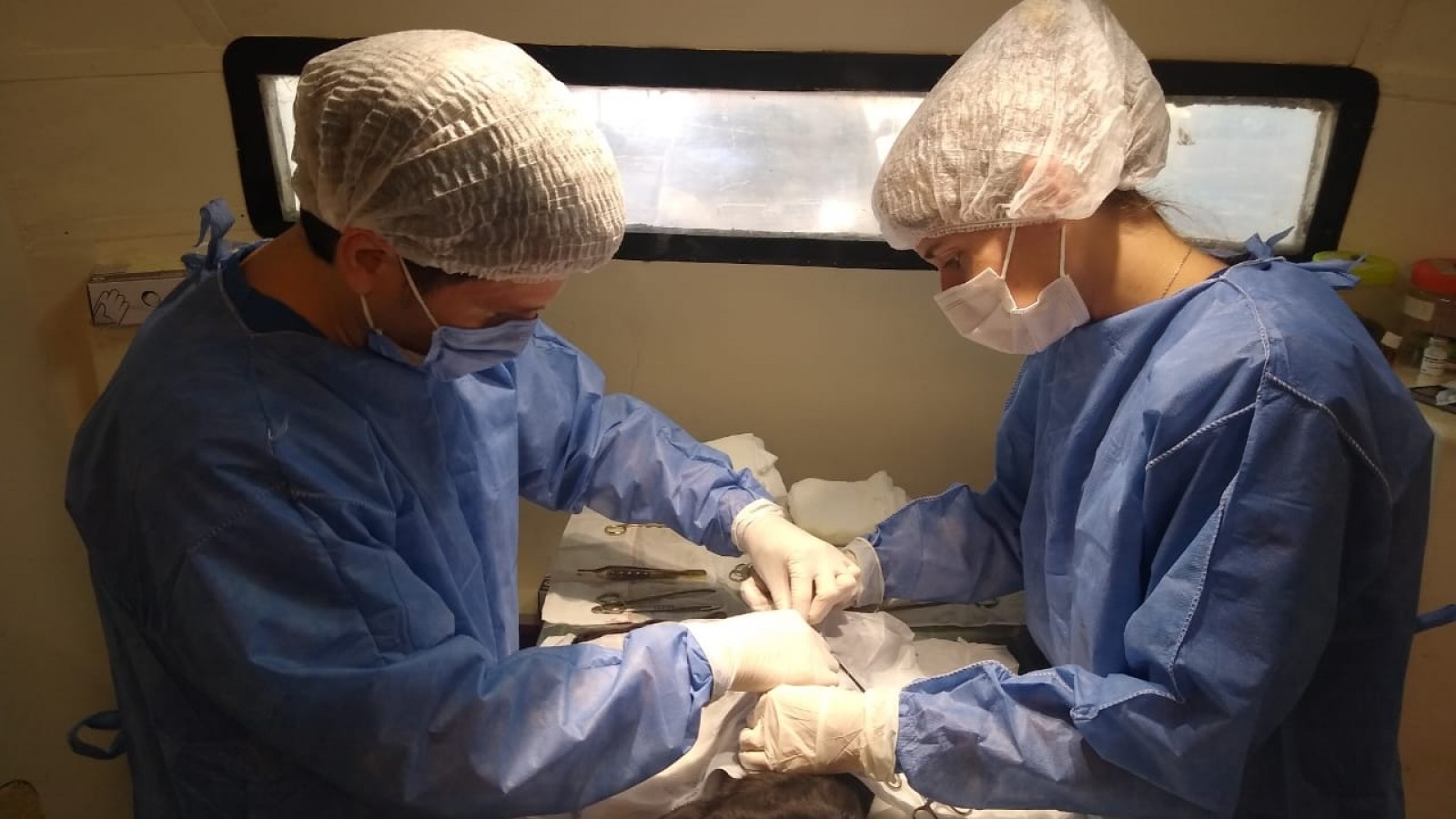 Cómo sacar un turno online para castración de mascotas en San Isidro